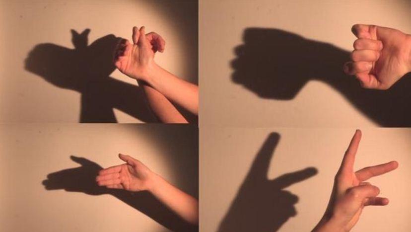 fazer animais de sombras com as mãos