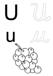 Alfabeto ilustrado para colorir (21)
