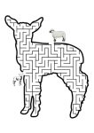 Atividade labirinto animais (2)
