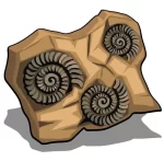 fóssil conchas