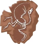 fóssil dinossauro (2)