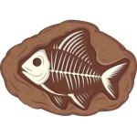 fóssil peixe