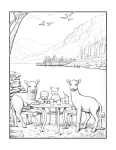 Animais fazendo picnic para colorir (25)