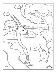 Antilope para colorir