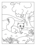 Esquilo para colorir