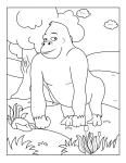 Gorila para colorir