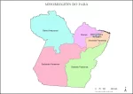 Mapa de mesorregiões do Pará
