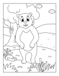 Urso para colorir