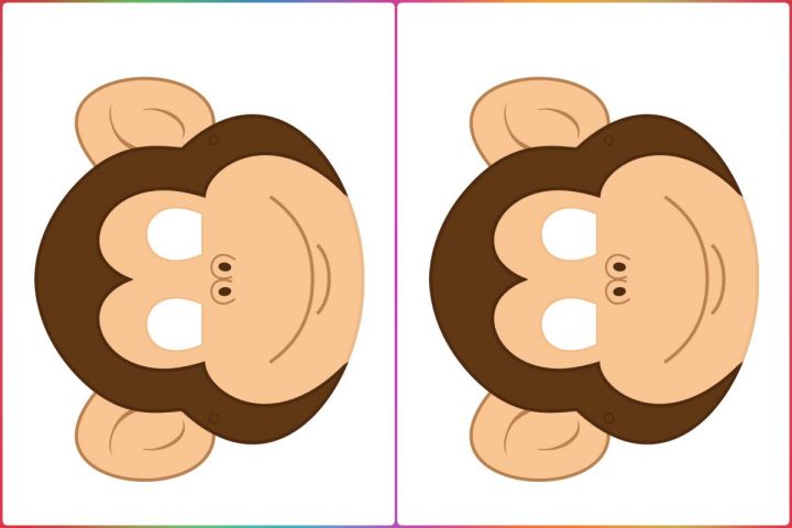 Macaco na Cabeça: Desenhos para Colorir e Imprimir!