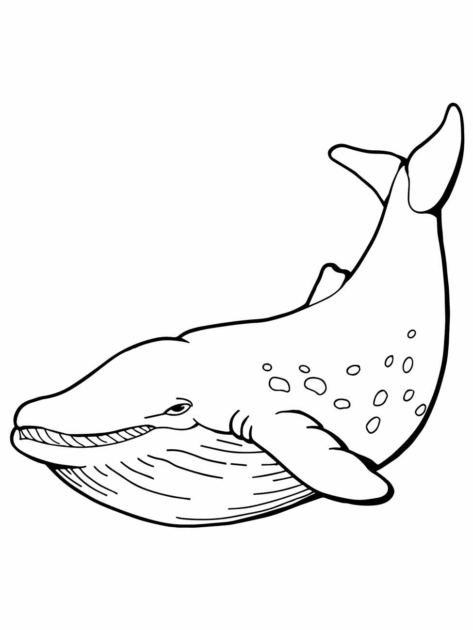 baleia para colorir 4