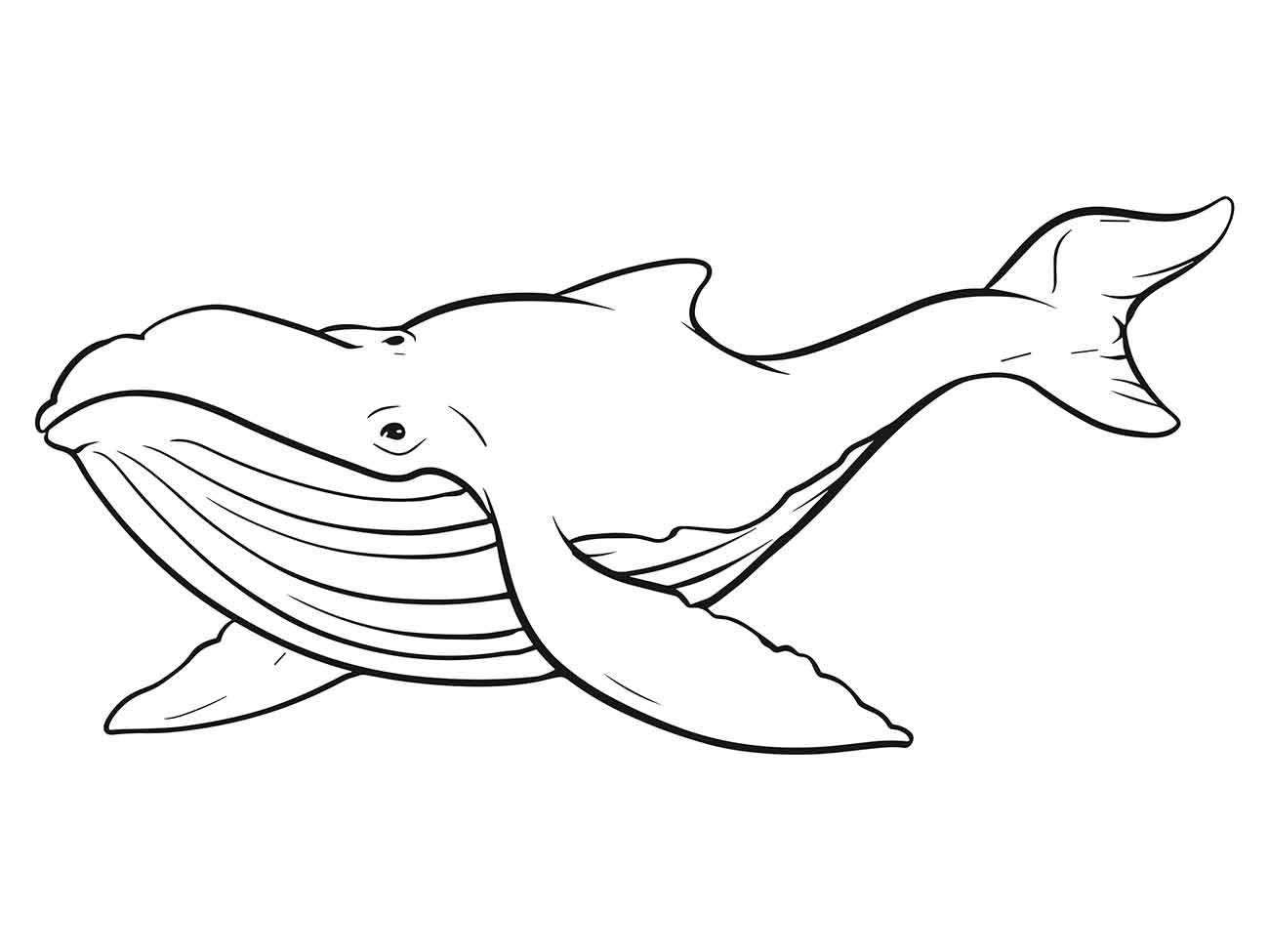 baleia para colorir 8
