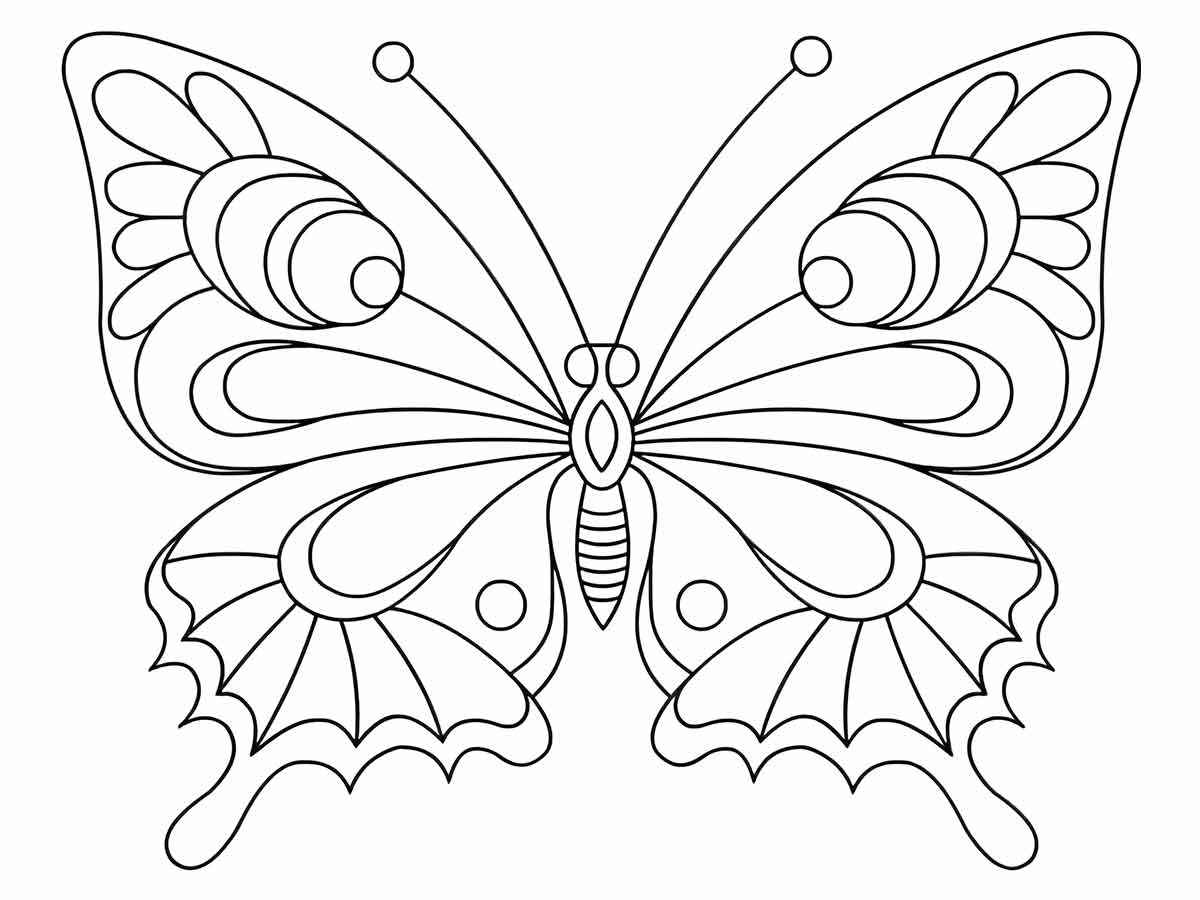 borboleta para colorir 11