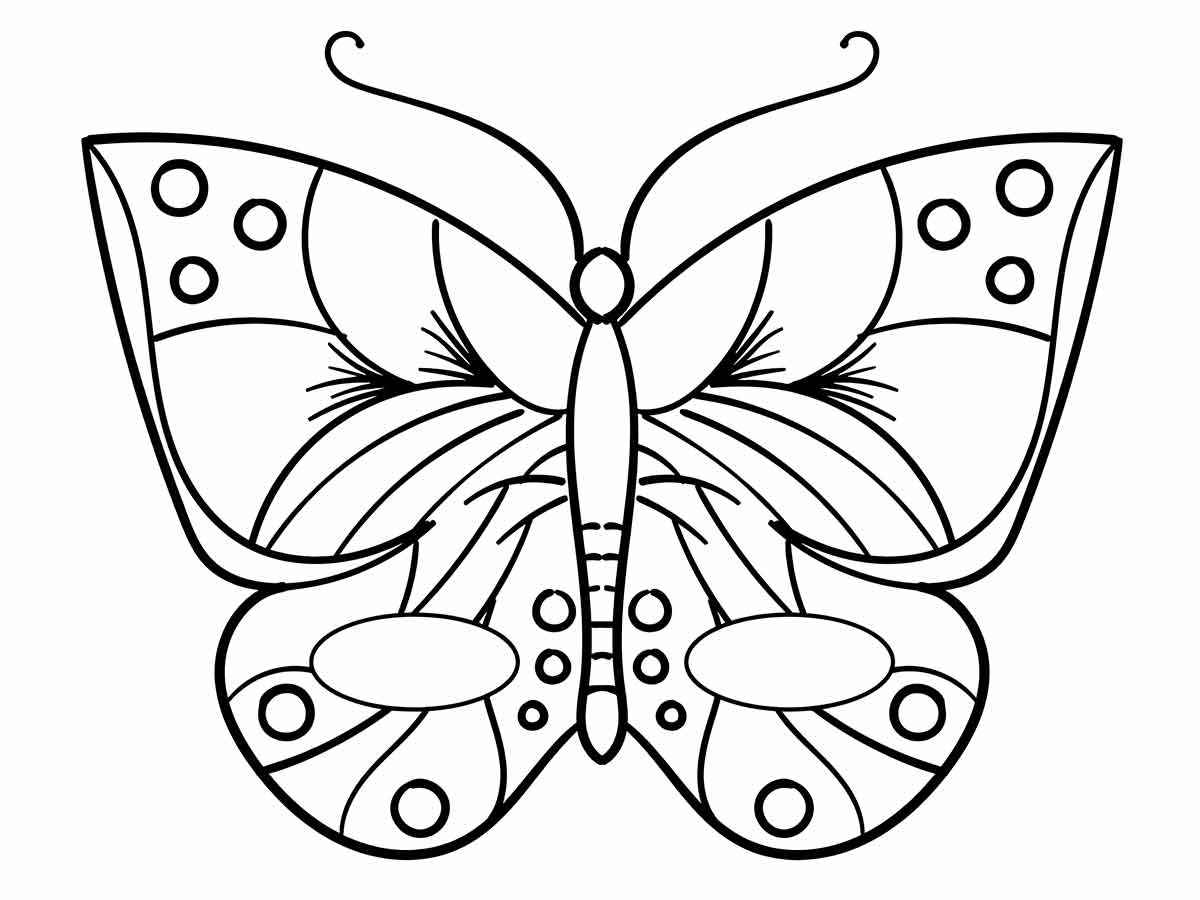 borboleta para colorir 16