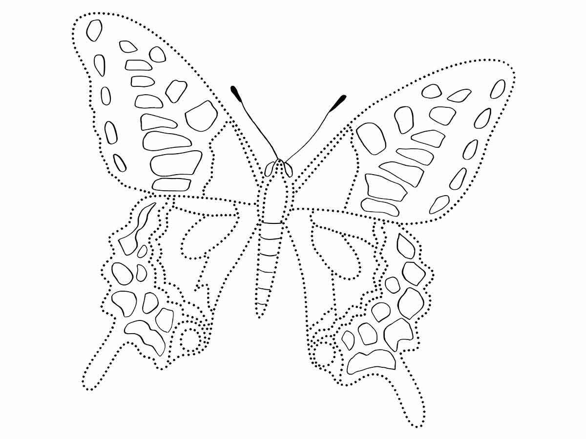 borboleta para colorir 20