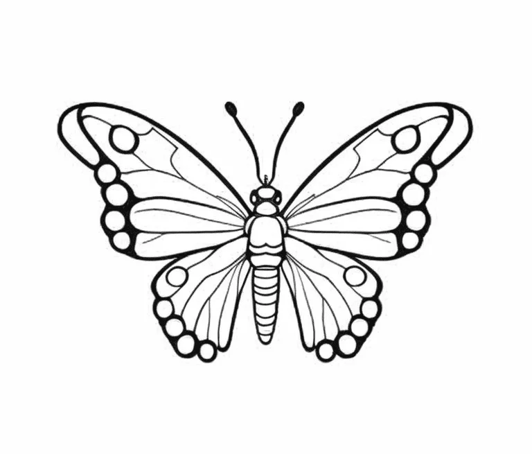 borboleta zebra.png