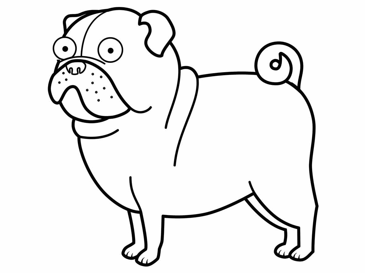 cachorro para colorir 18