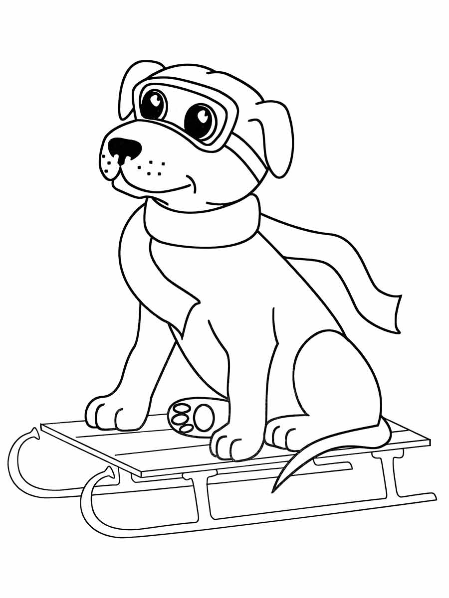 cachorro para colorir 7