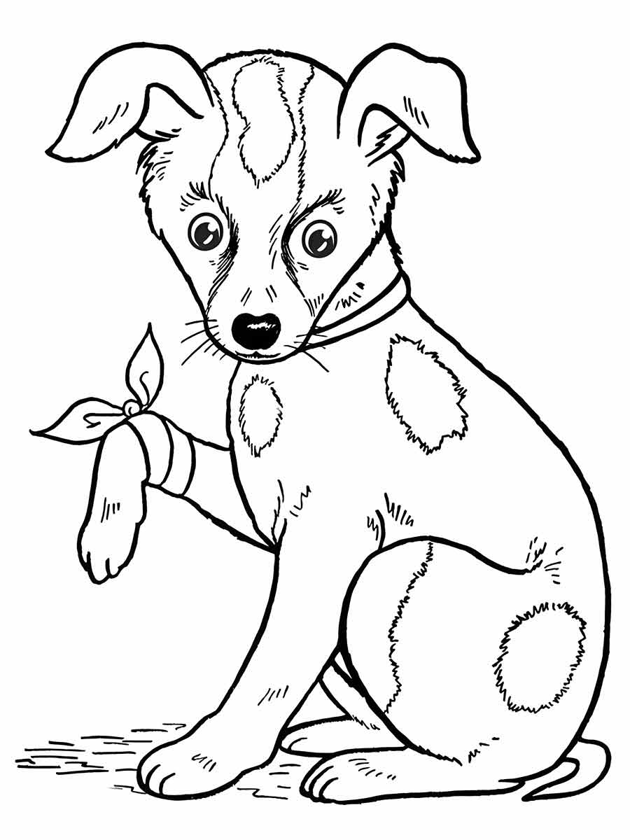 cachorro para colorir 9