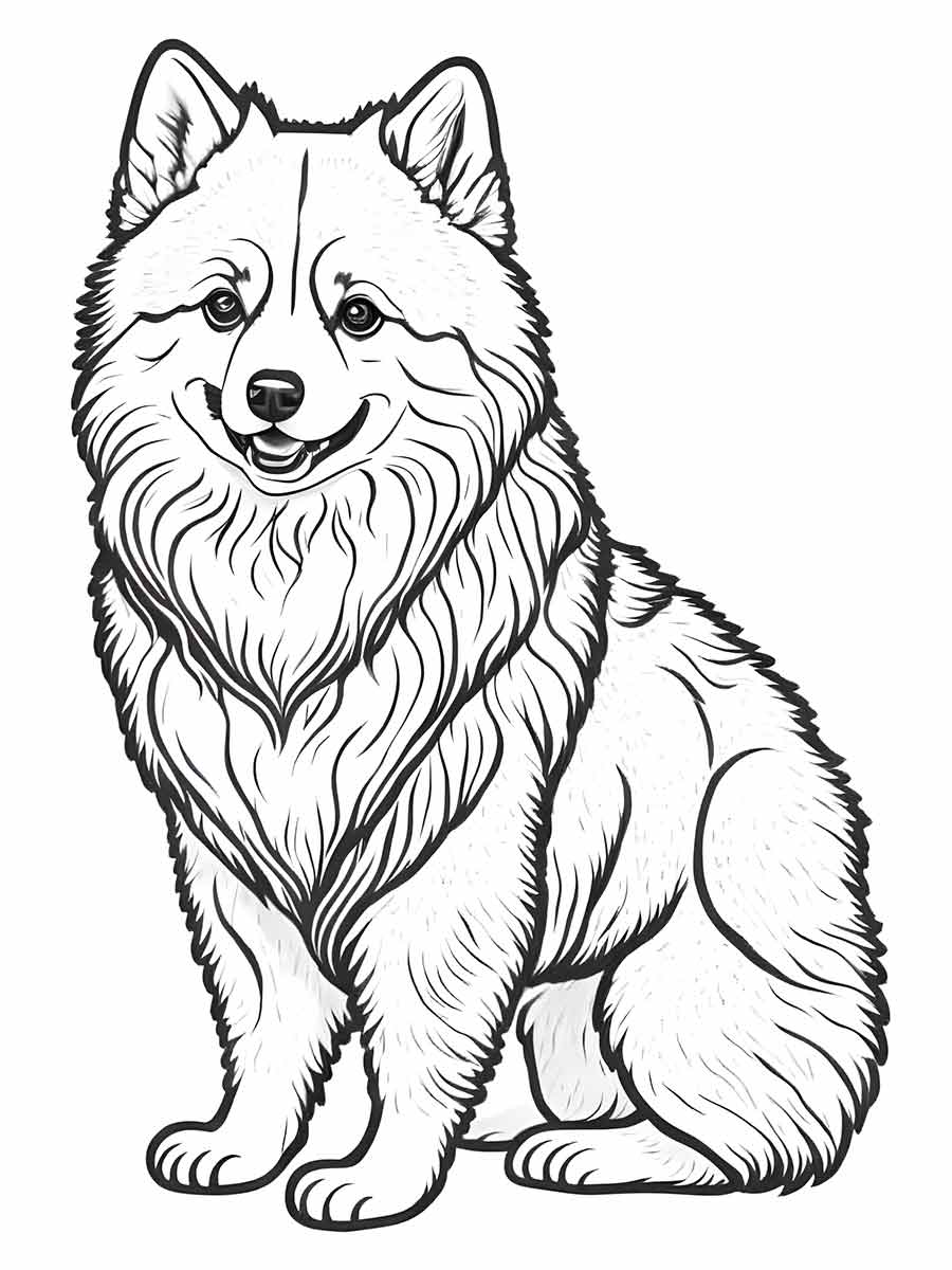 cachorro para colorir american eskimo