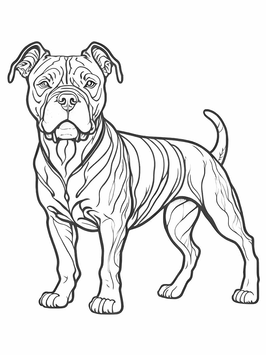 cachorro para colorir american staffordshire terrier