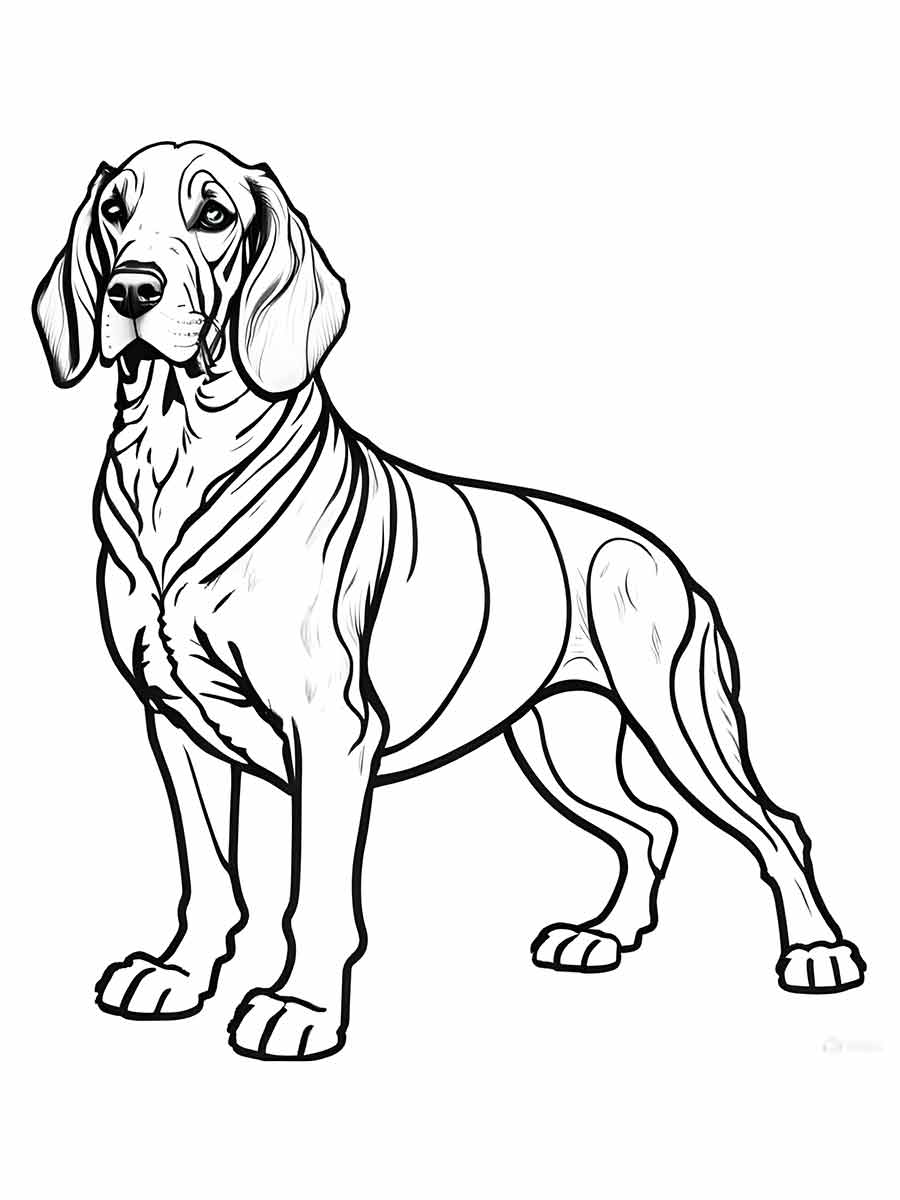 cachorro para colorir bloodhound medio