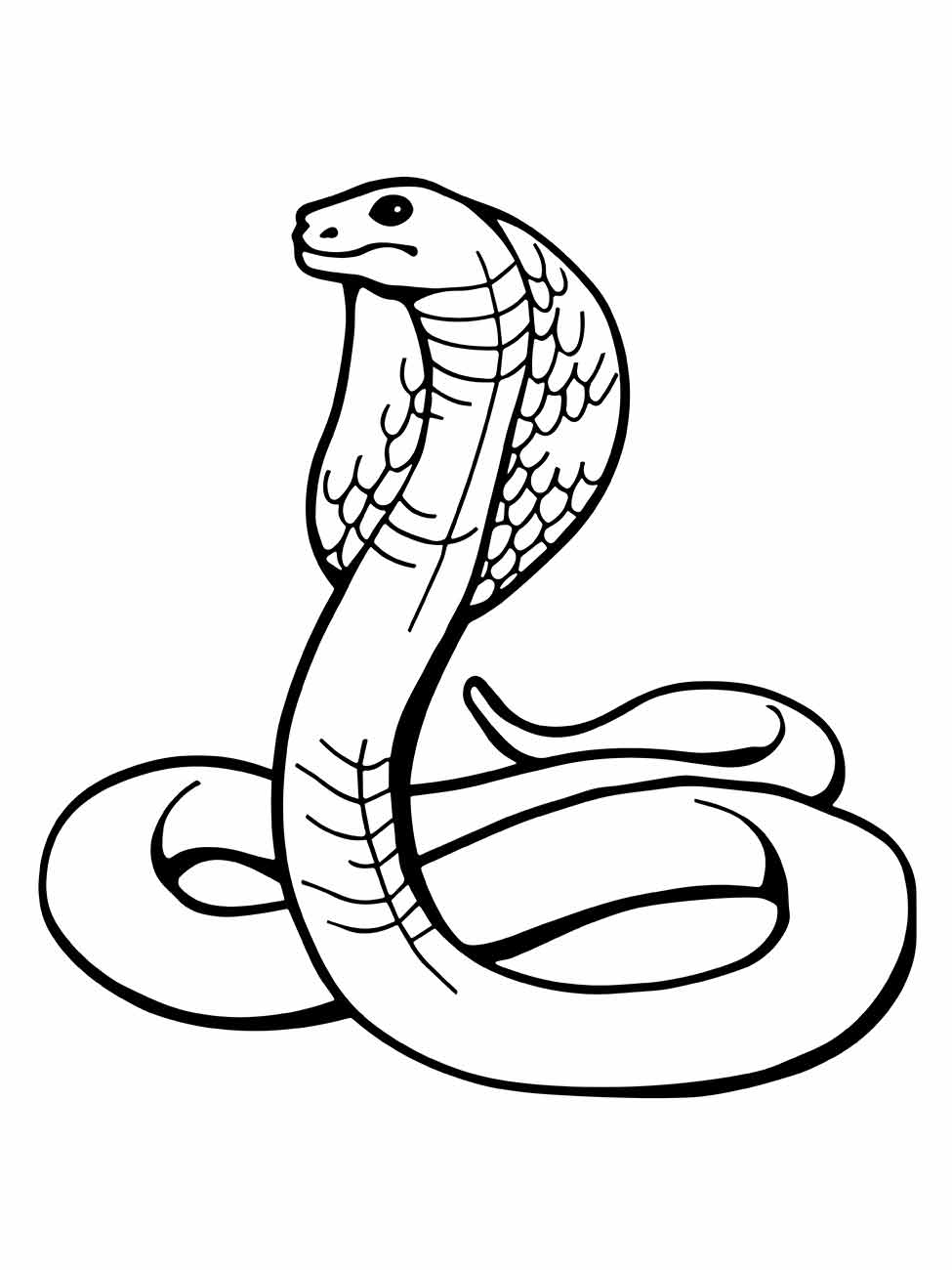 cobra para colorir 12