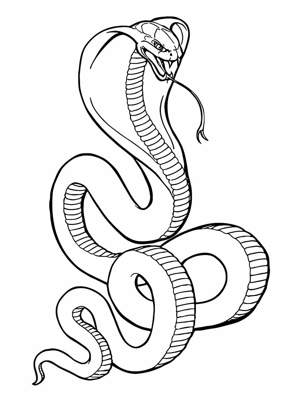 cobra para colorir 15