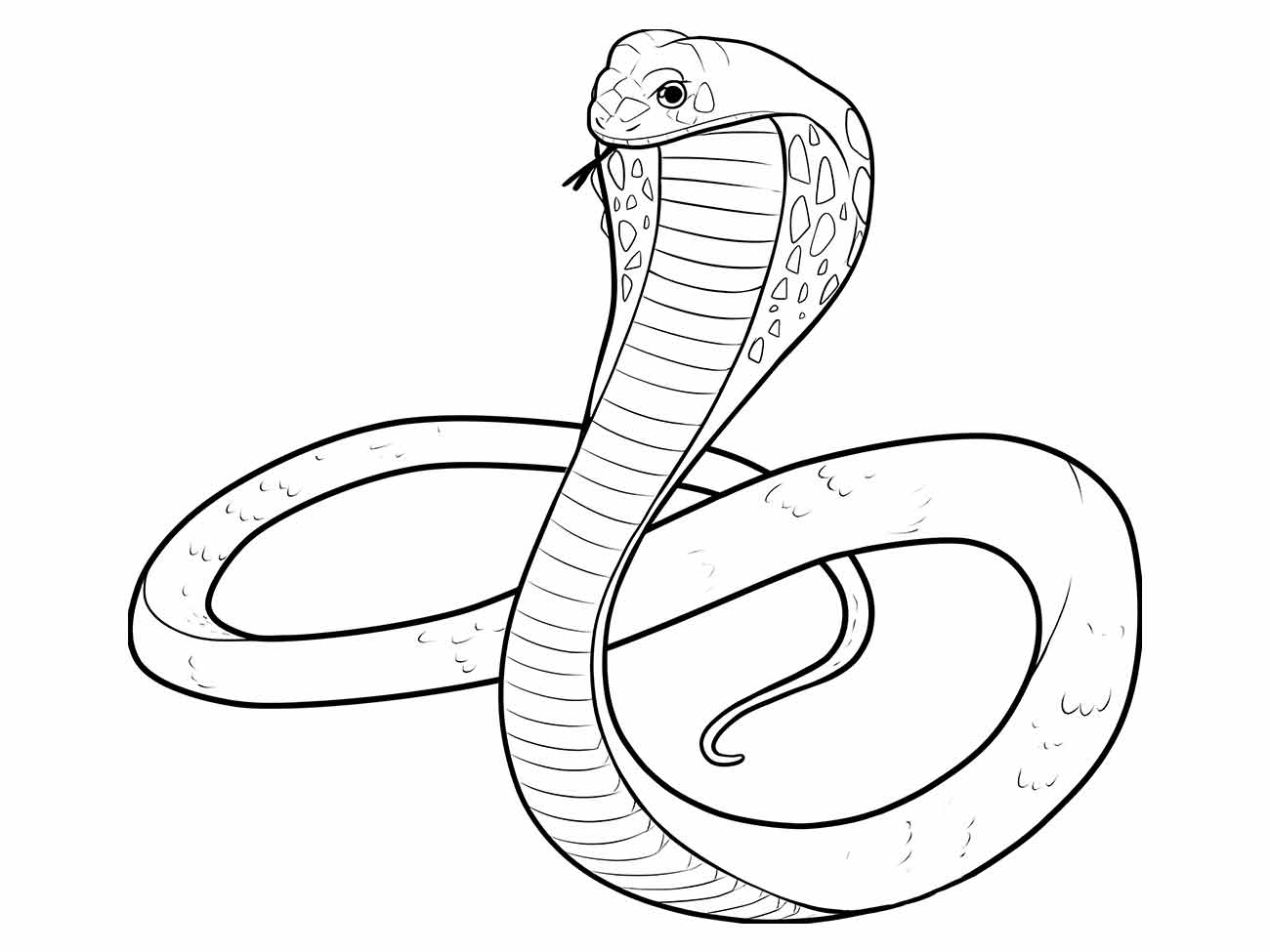 cobra para colorir 6