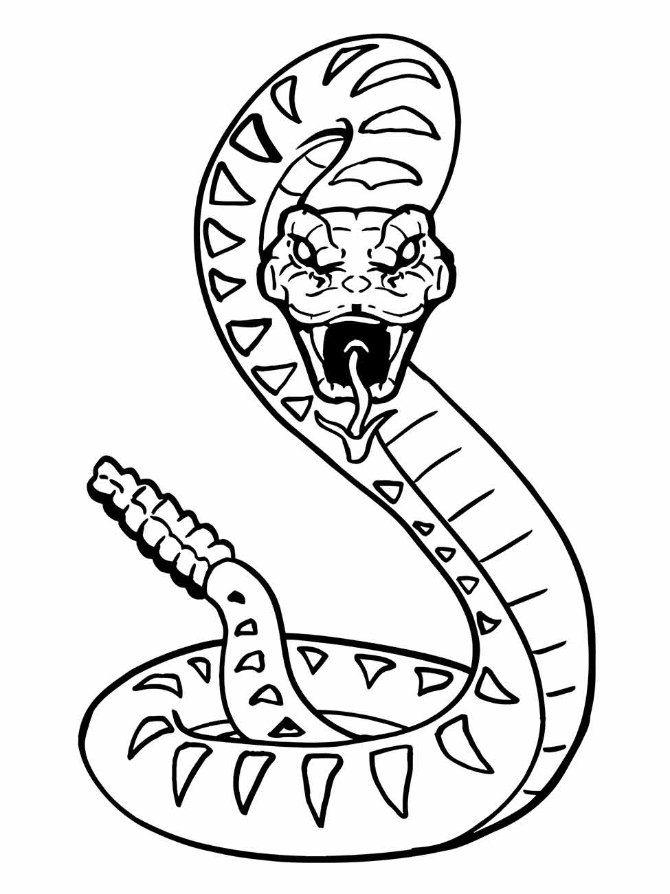 cobra para colorir 9