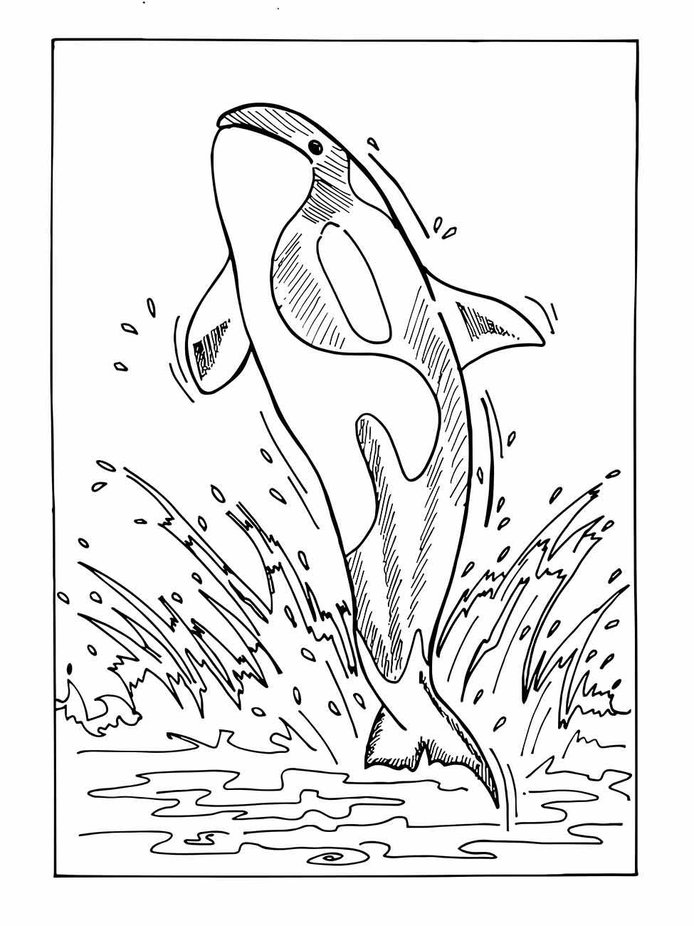 desenho baleia para colorir 27
