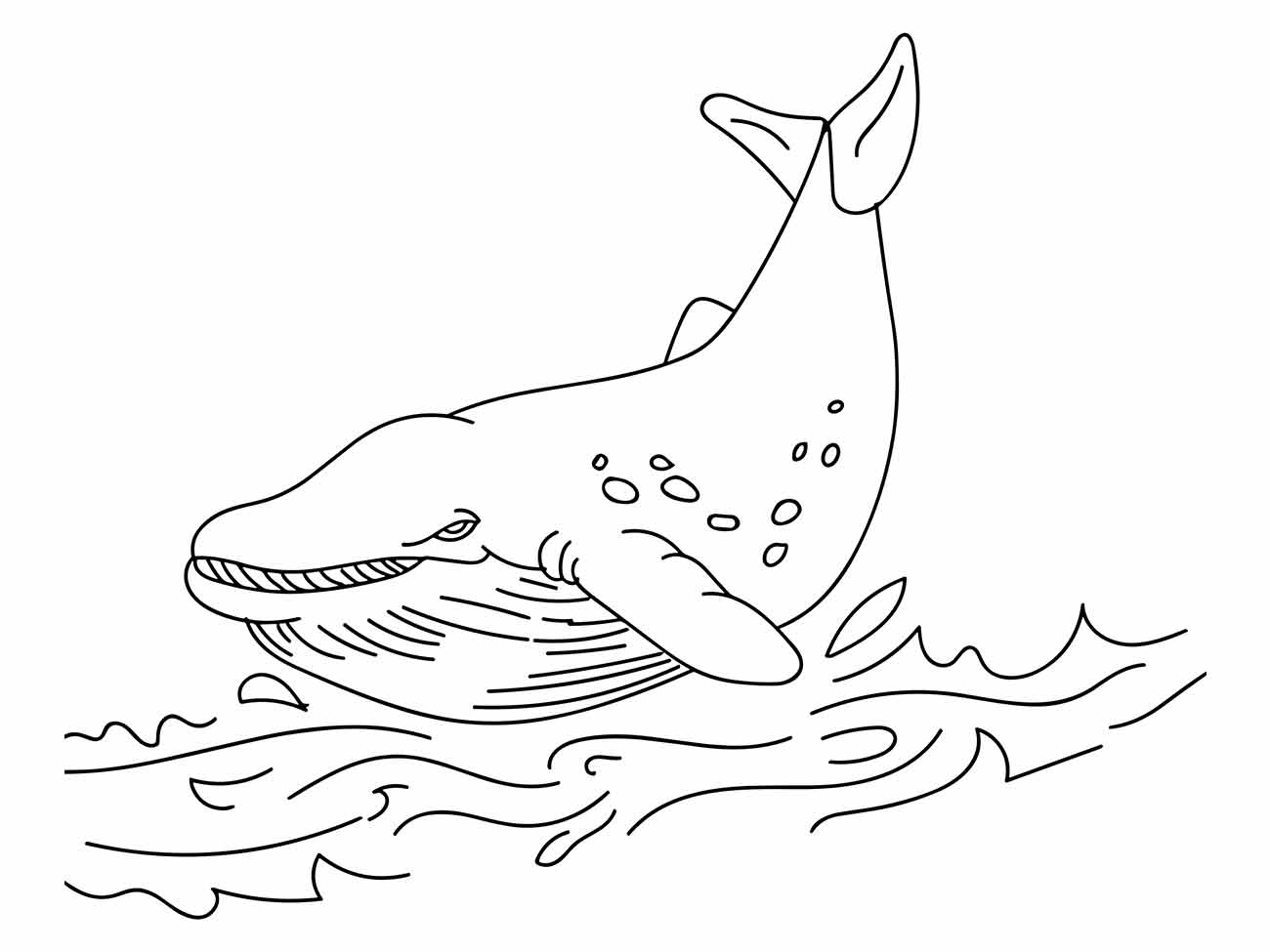 desenho baleia para colorir 30