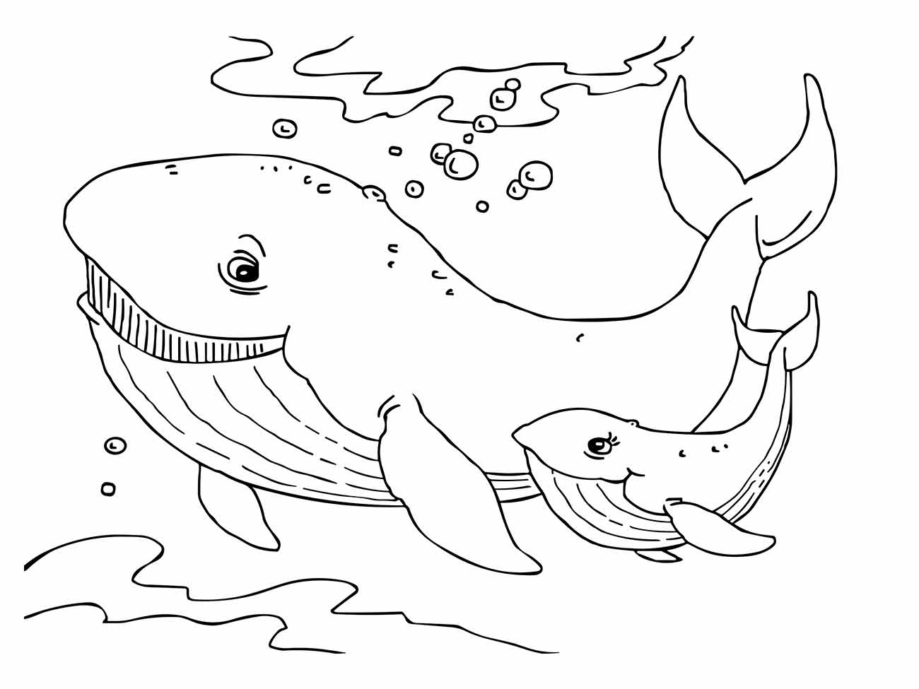 desenho baleias para colorir 36