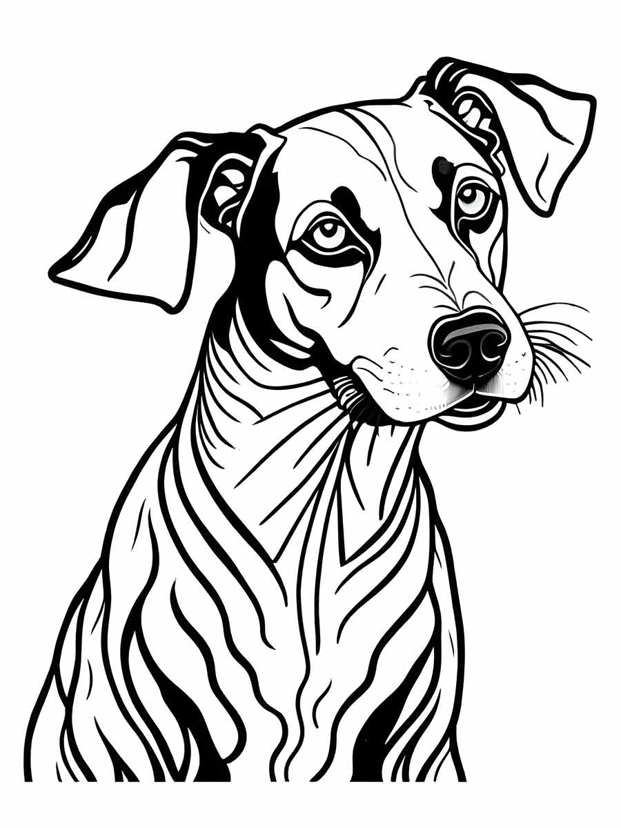 desenho cachorro para colorir com orelhas grandes