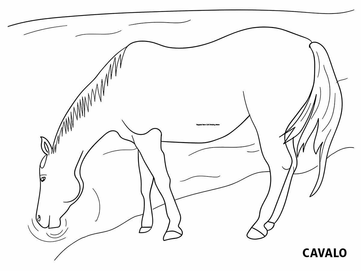 desenho cavalo para colorir 20