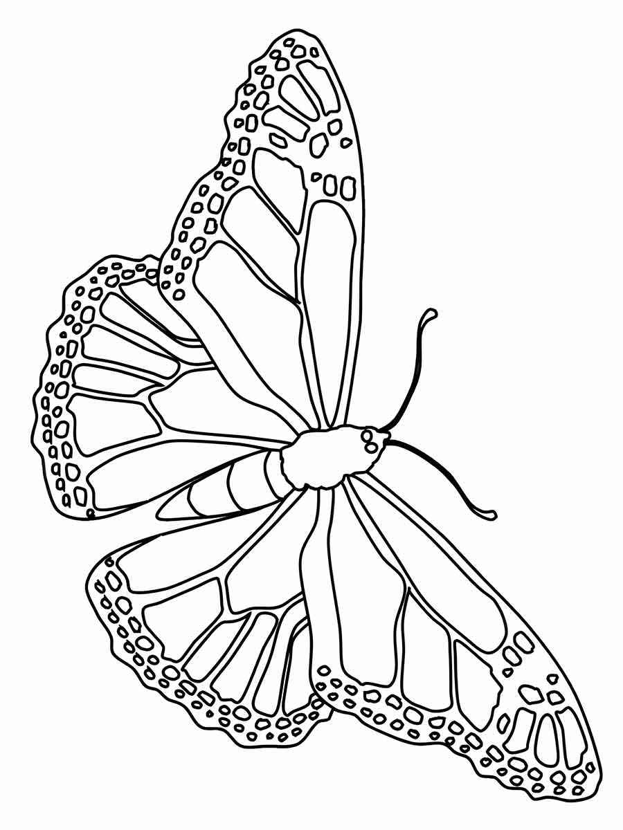 desenho de borboleta para colorir grande 43