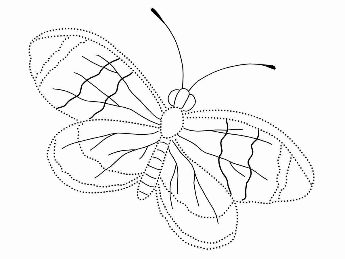 desenho de borboletas para colorir 52