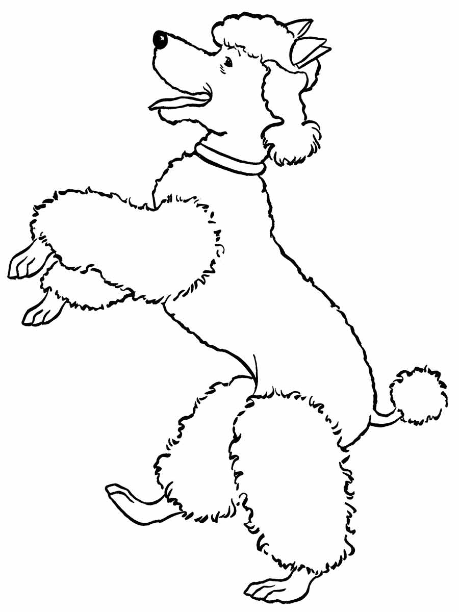 desenho de cachorro para colorir 40