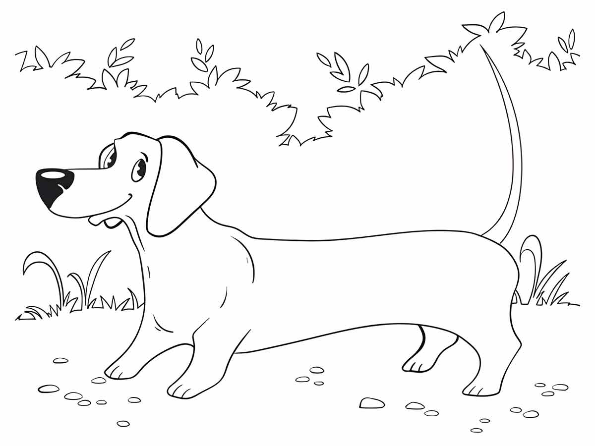 desenho de cachorro para colorir 45