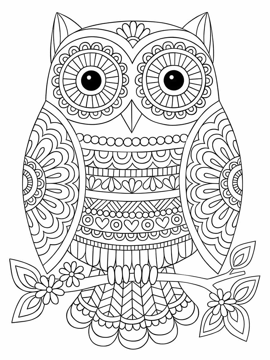 desenho de coruja para colorir mandala 42