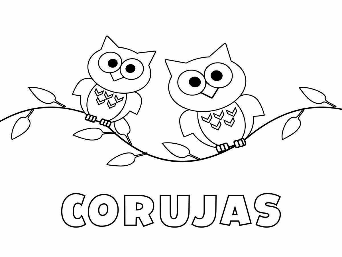 desenho de corujas para colorir 51