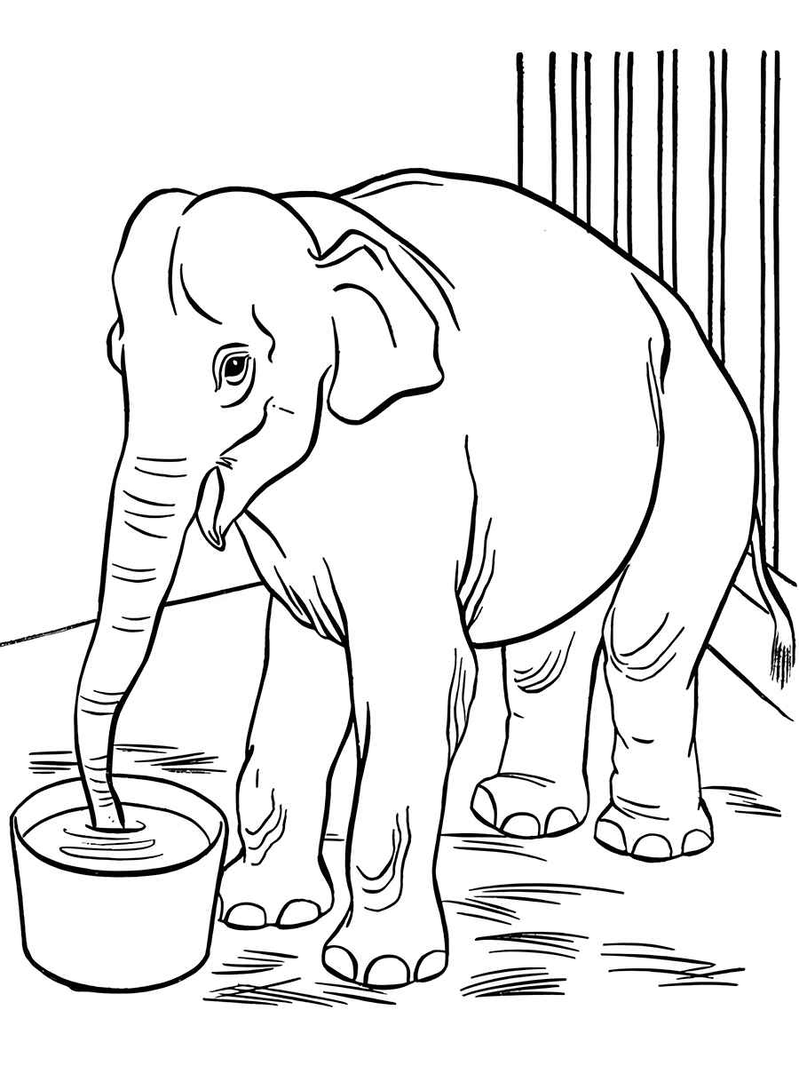 desenho de elefante para colorir 63