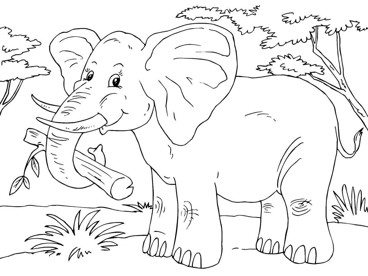 desenho de elefante para colorir 84