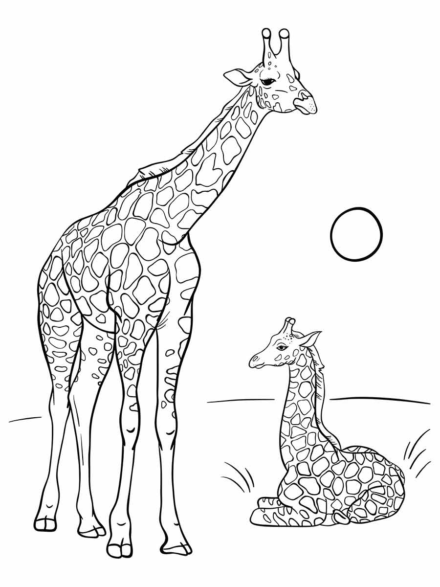 desenho de girafas para colorir 27