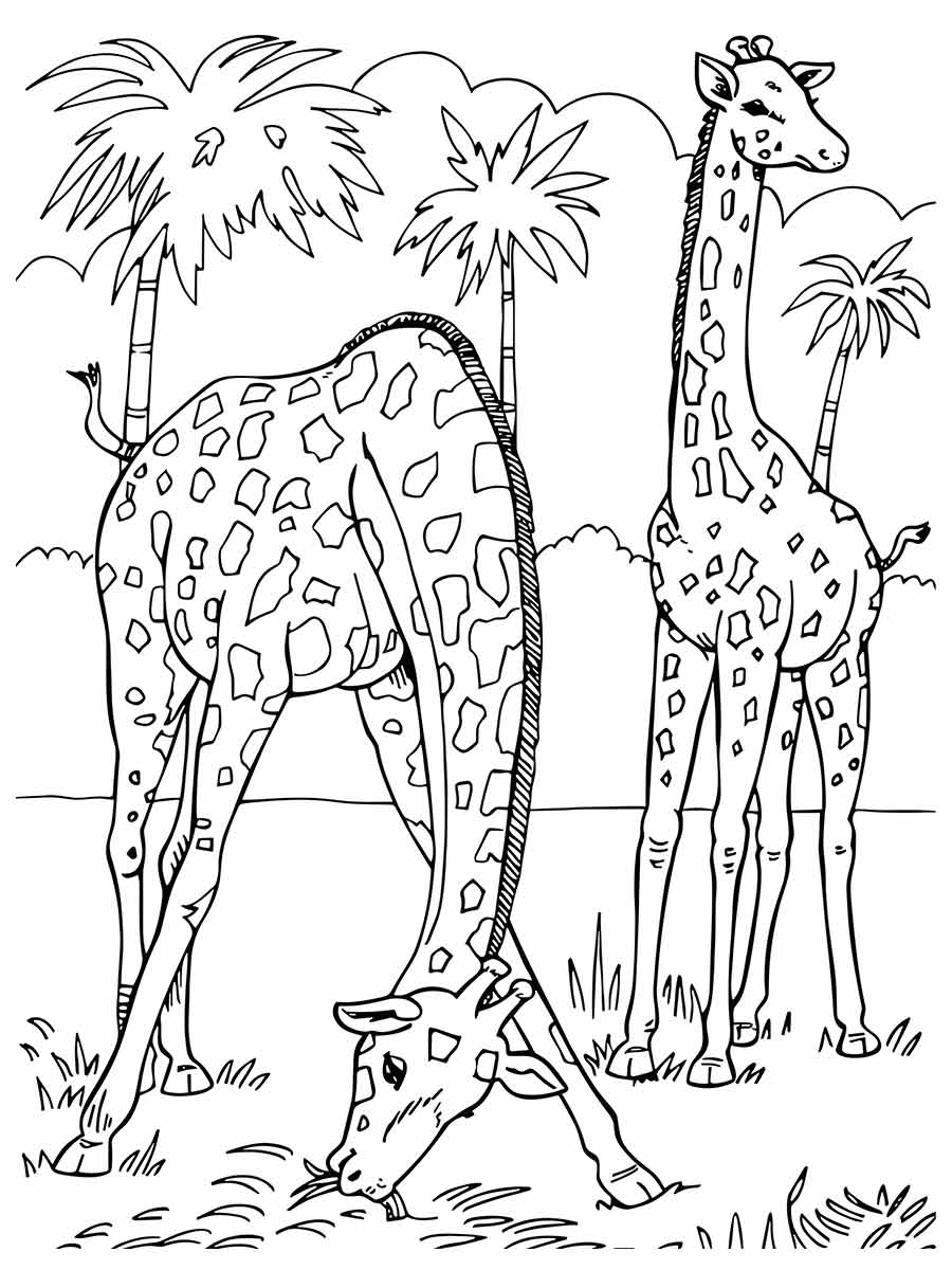 desenho de girafas para colorir 28