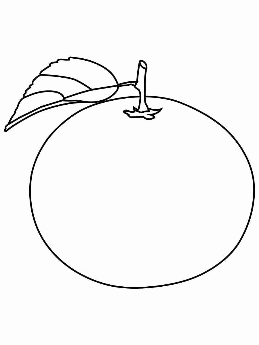 desenho de laranja para colorir