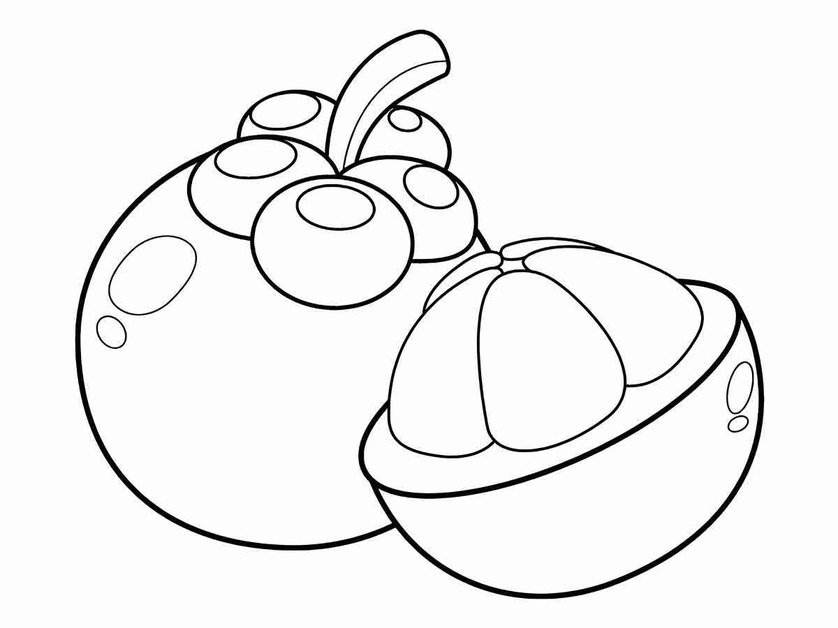 desenho de mangosteen para colorir