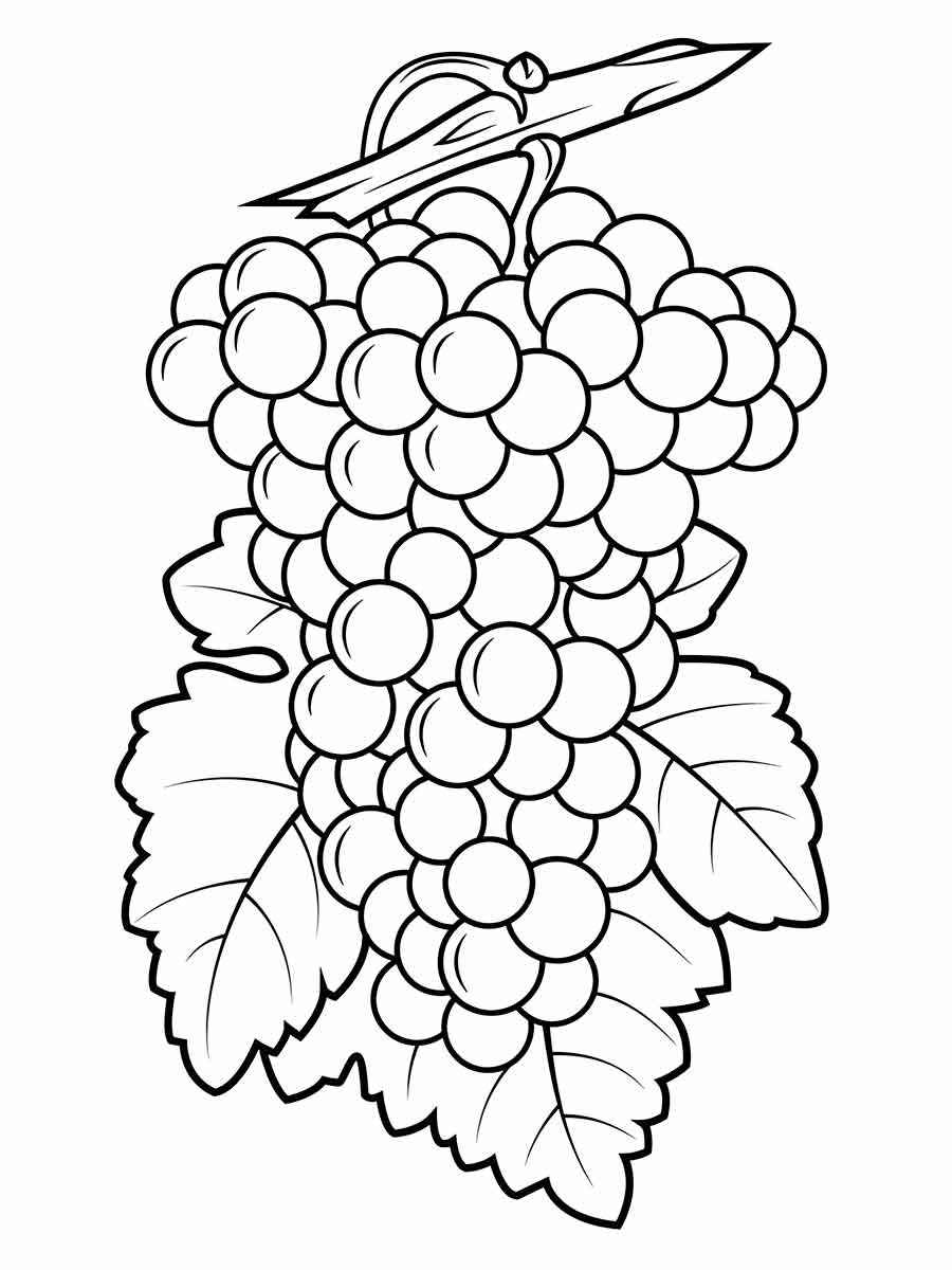 desenho de uva para colorir 2