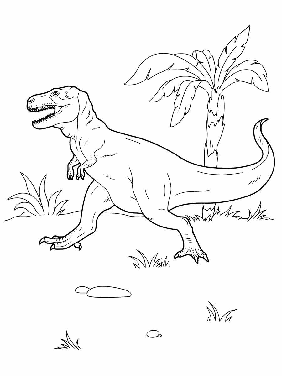 desenho dinossauro para colorir 28