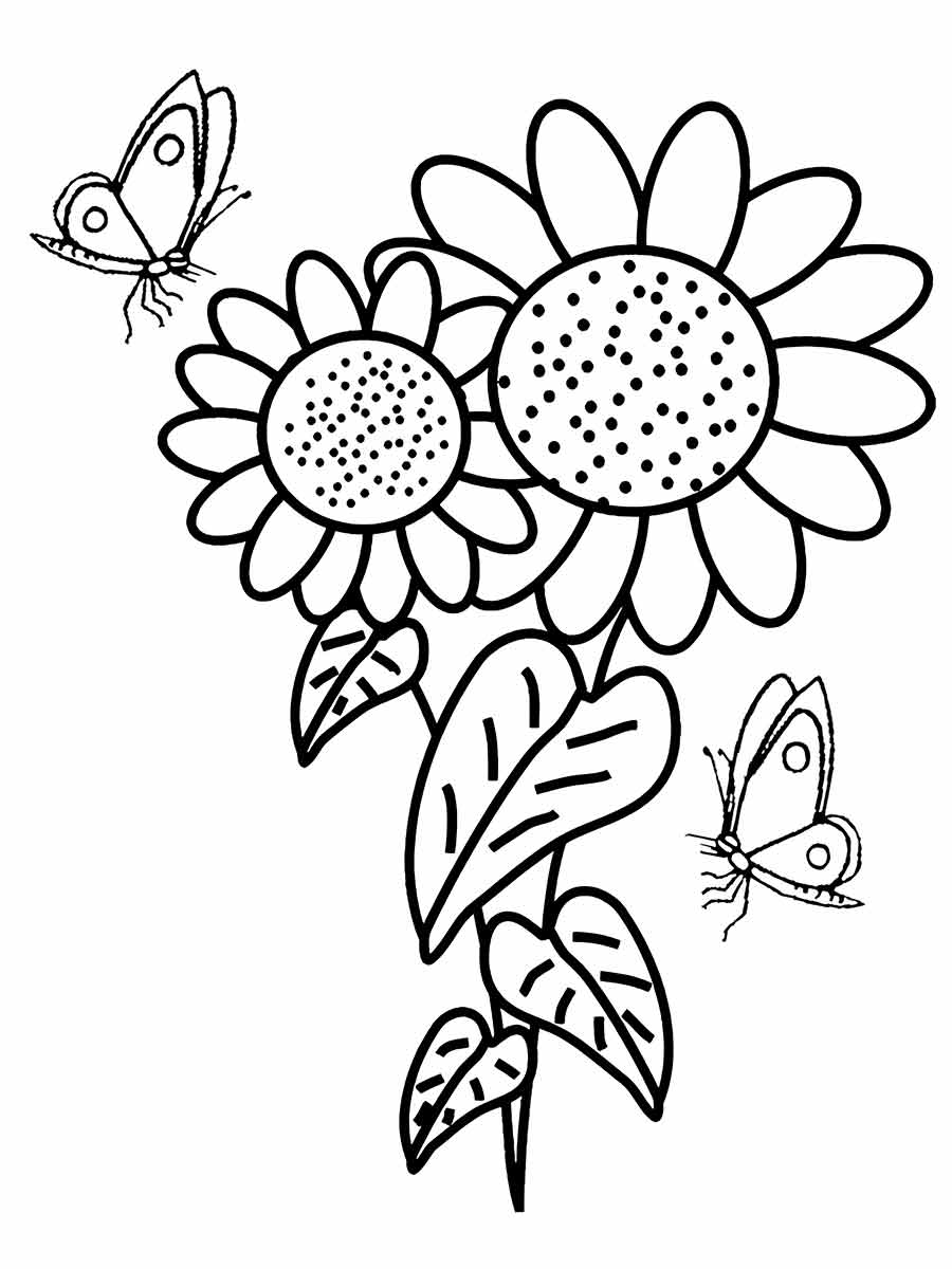 desenho flores girasol para colorir 68