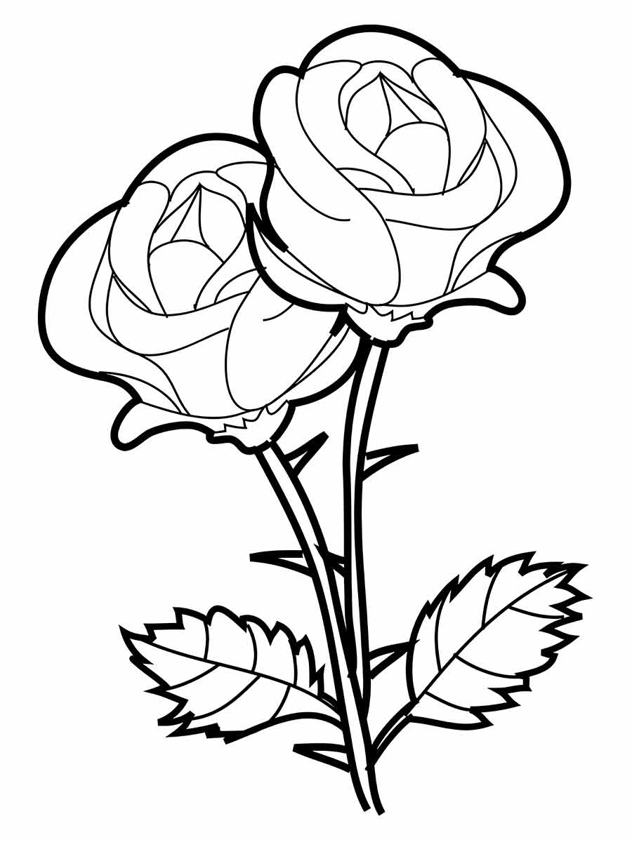 desenho flores para colorir 72